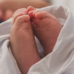 newborn baby 250x250